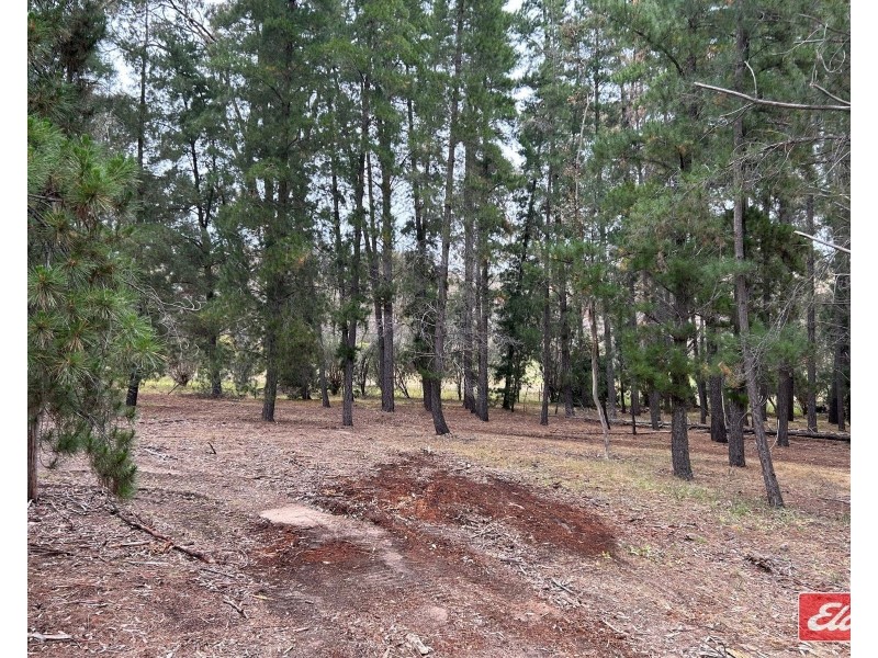 Lot 9 Alexander Murray Road, Williamstown SA 5351