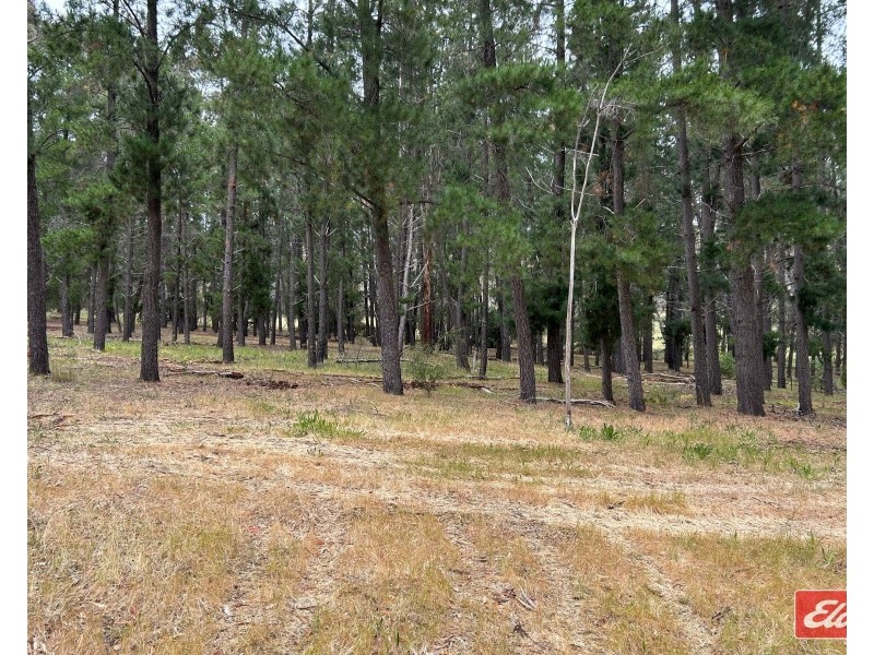Lot 9 Alexander Murray Road, Williamstown SA 5351