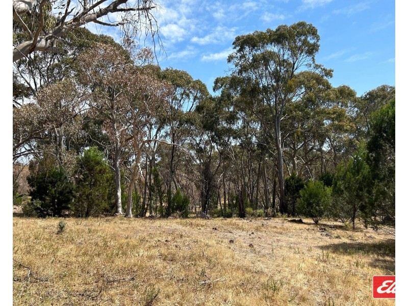 Lot 743 Needles Road, Williamstown SA 5351