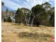 Lot 743 Needles Road, Williamstown SA 5351