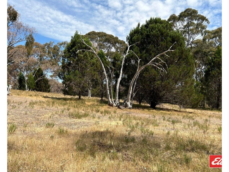 Lot 743 Needles Road, Williamstown SA 5351