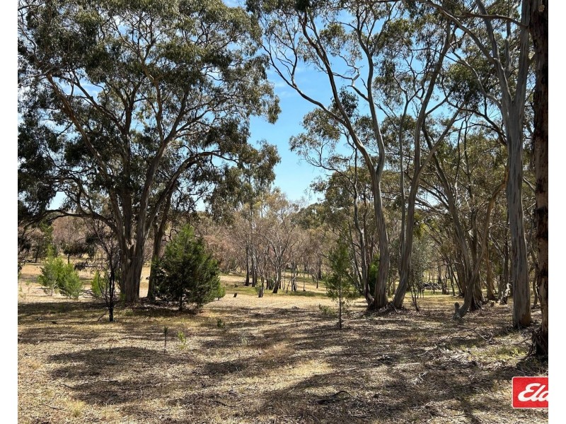 Lot 743 Needles Road, Williamstown SA 5351