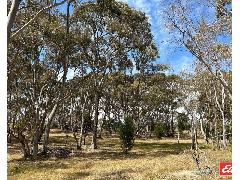 Lot 743 Needles Road, Williamstown SA 5351