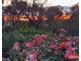 159 Tower Road, Pewsey Vale SA 5351
