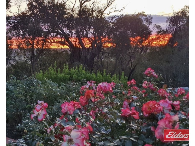 159 Tower Road, Pewsey Vale SA 5351