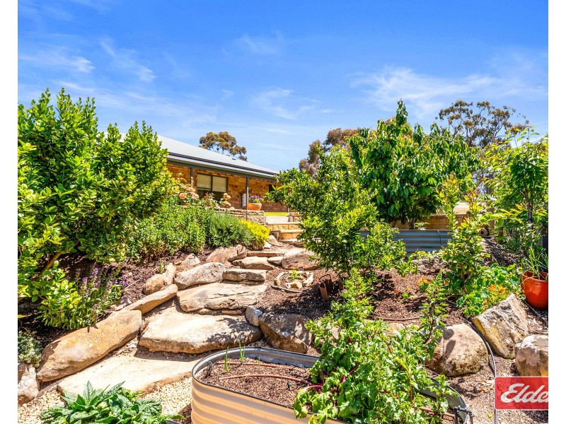 159 Tower Road, Pewsey Vale SA 5351