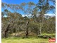 159 Tower Road, Pewsey Vale SA 5351