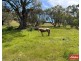 159 Tower Road, Pewsey Vale SA 5351
