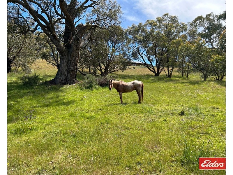 159 Tower Road, Pewsey Vale SA 5351