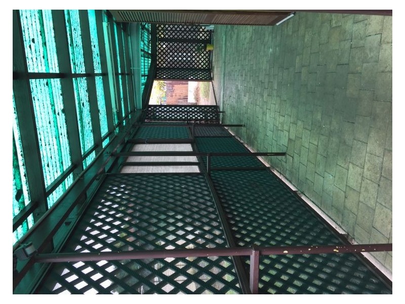 38 Payton Street, Canley Vale NSW 2166