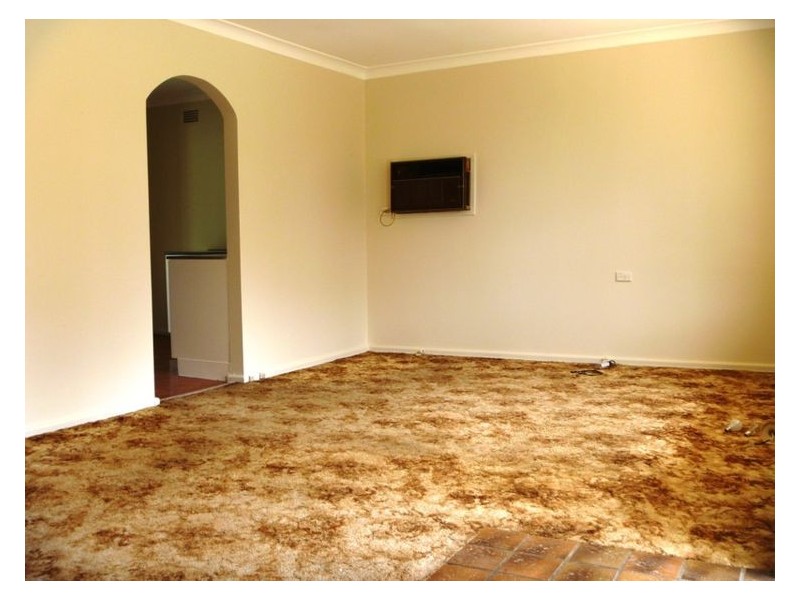 19 Hutchens Ave, Mount Pritchard NSW 2170