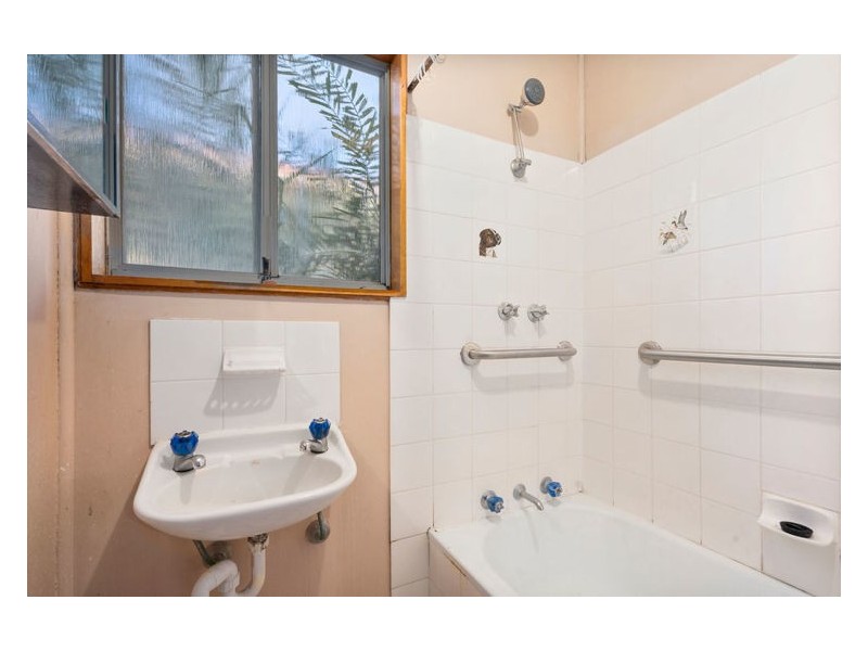 101 Mandarin St, Fairfield East NSW 2165