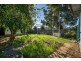 101 Mandarin St, Fairfield East NSW 2165