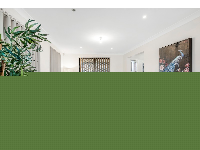 24 Ben Lomond Road, Minto NSW 2566