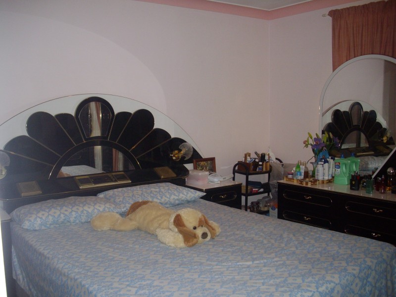 Edensor Park NSW 2176