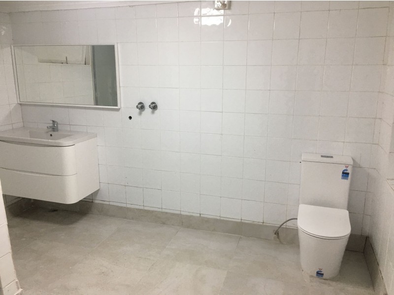 21a Tuncoee Road, Villawood NSW 2163