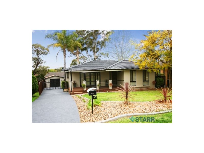 Ruse NSW 2560