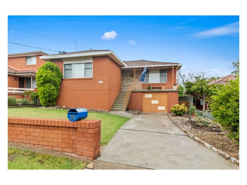 20 Theresa Street, Smithfield NSW 2164