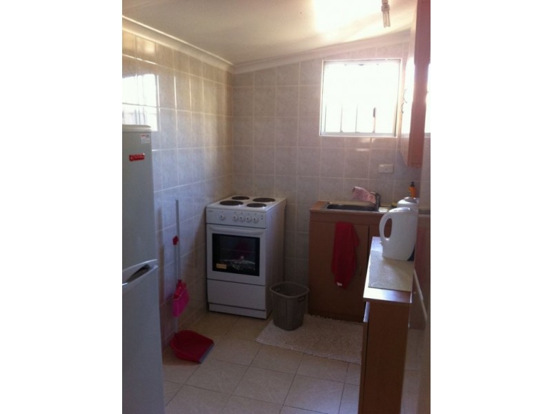 9a Harden Street, Canley Heights NSW 2166