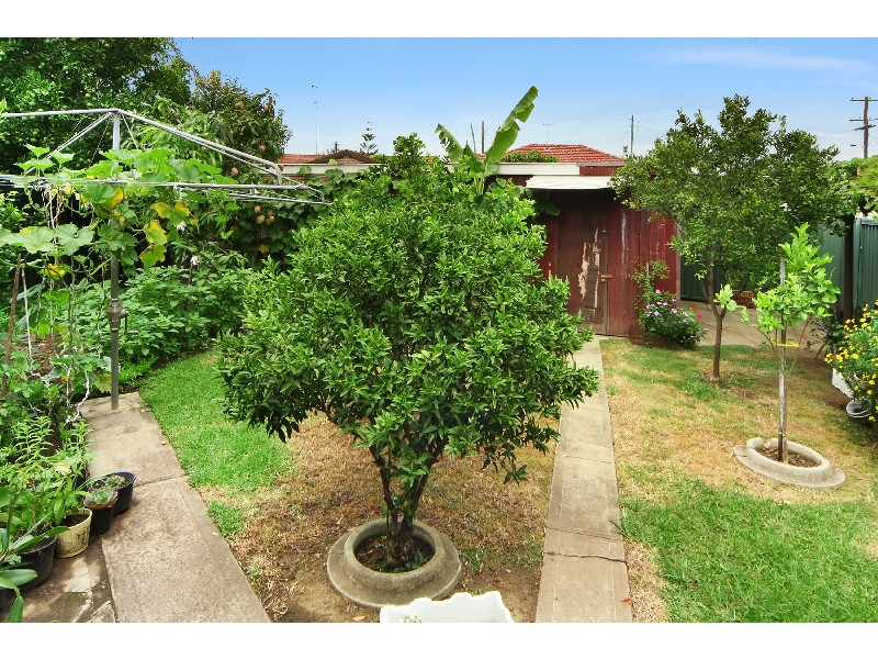 50 Bodalla St, Fairfield Heights NSW 2165