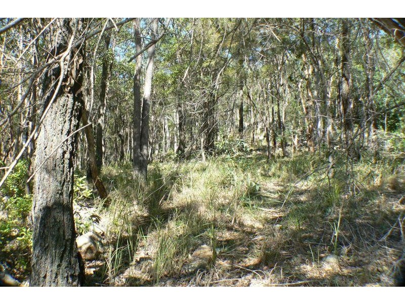 Lot 4 Carrock Court, Mount Coolum QLD 4573