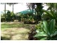17 Kowonga Street, Pacific Paradise QLD 4564