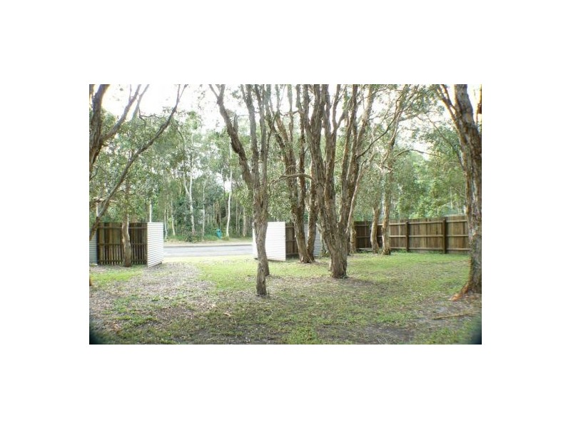 53 Mudjimba Esplanade, Mudjimba QLD 4564