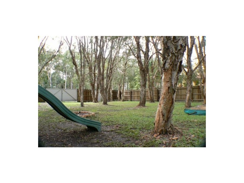 53 Mudjimba Esplanade, Mudjimba QLD 4564