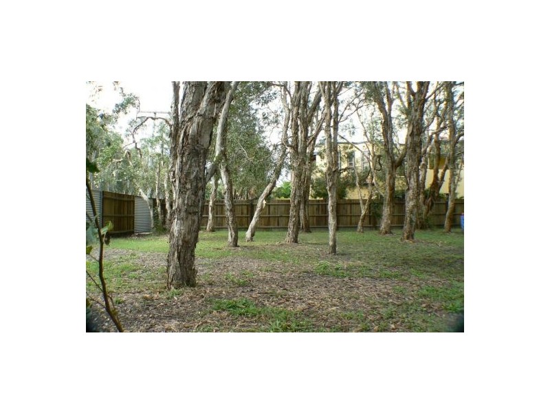 53 Mudjimba Esplanade, Mudjimba QLD 4564