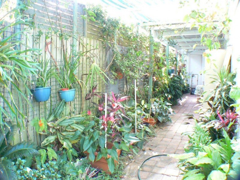 10 Cooloola Pl, Twin Waters QLD 4564