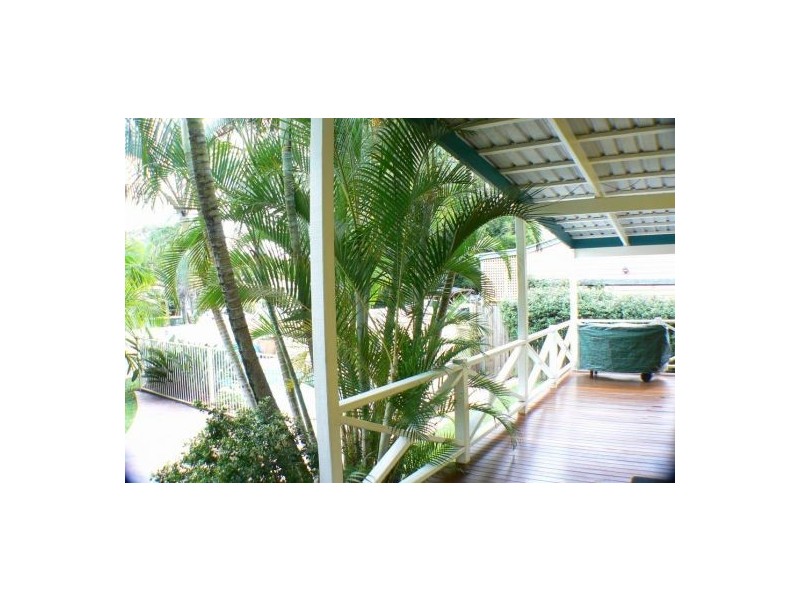 19 Sassifras St, Mudjimba QLD 4564