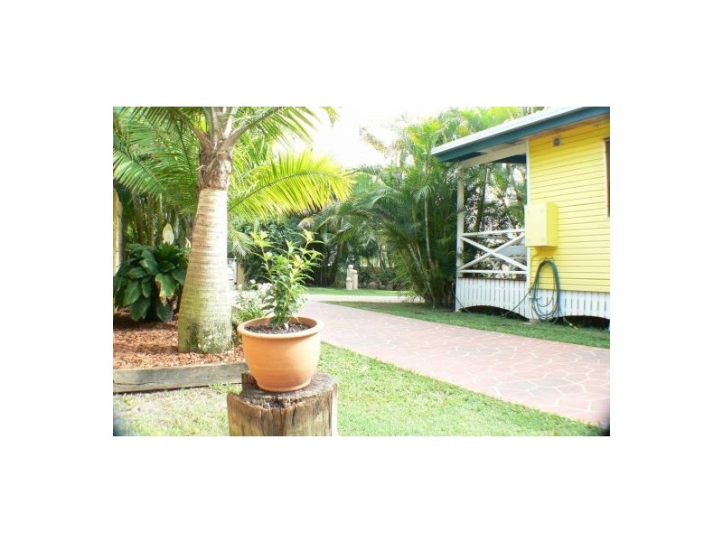 19 Sassifras St, Mudjimba QLD 4564