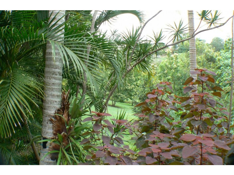 63 Eulinga Ct, Ninderry QLD 4561