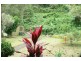 1 Eulinga Ct, Ninderry QLD 4561