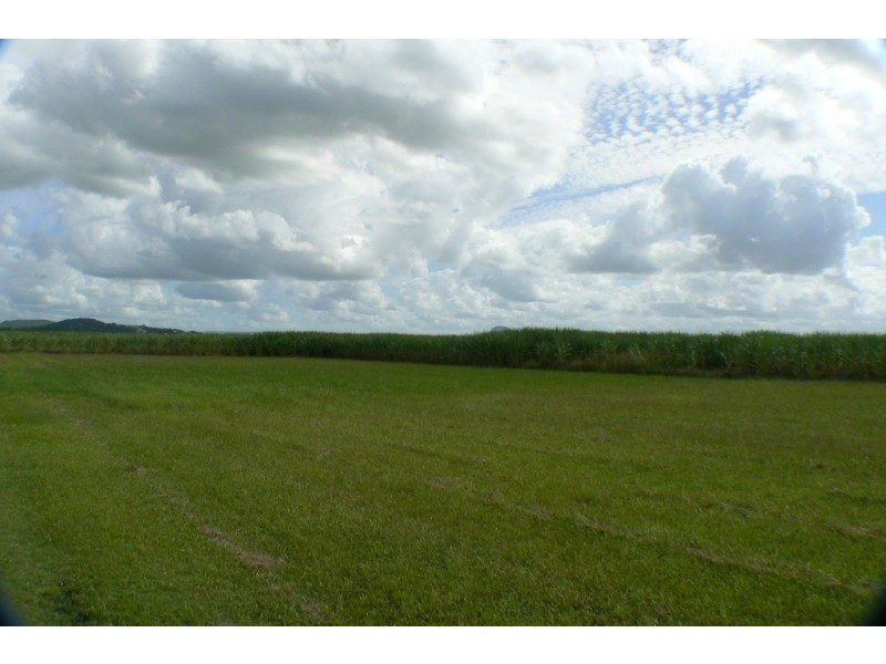 14 Finland Road, Bli Bli QLD 4560