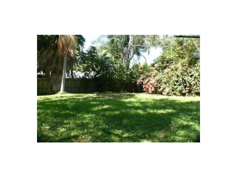 17 Sundew St, Mudjimba QLD 4564