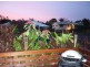 1/38 Yango Street, Pacific Paradise QLD 4564