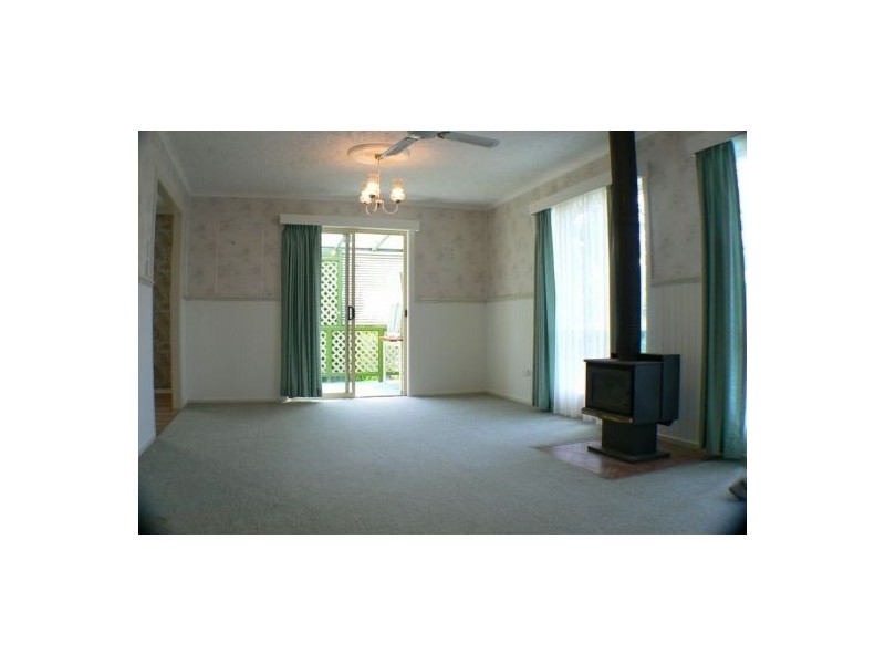 19. Richardson Street, Pacific Paradise QLD 4564