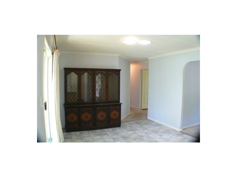 639 David Low Way, Pacific Paradise QLD 4564