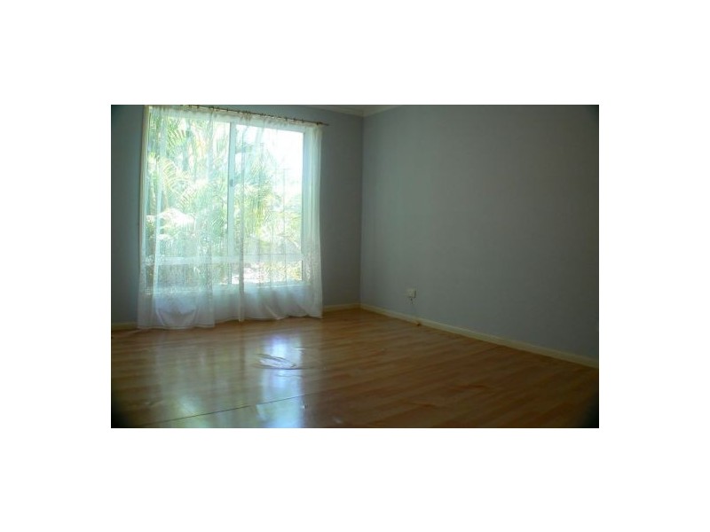 639 David Low Way, Pacific Paradise QLD 4564