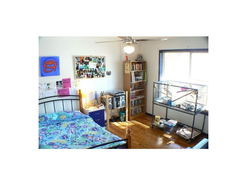 1119 David Low Way, Marcoola QLD 4564