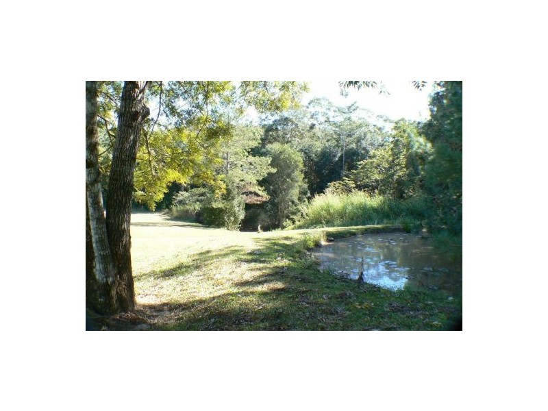 14 Forest Court, Yandina QLD 4561