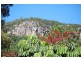 14 Forest Court, Yandina QLD 4561