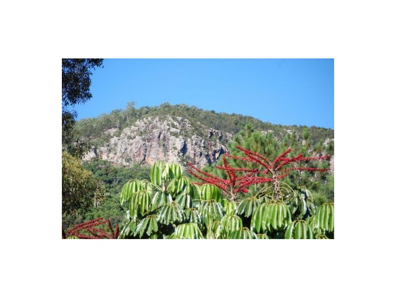 14 Forest Court, Yandina QLD 4561