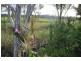 178 48-74 David Low Way, Diddillibah QLD 4559