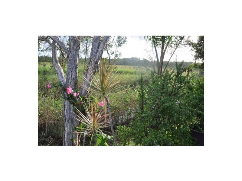 178 48-74 David Low Way, Diddillibah QLD 4559
