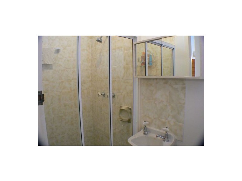 19 Currawong Street, Mudjimba QLD 4564