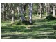 125 Havana Rd W, Peregian Springs QLD 4573