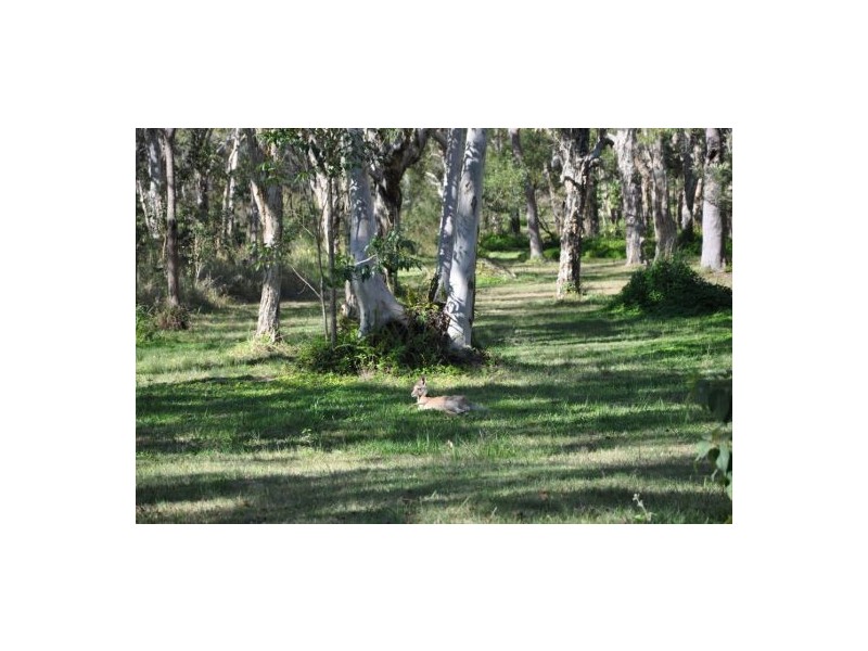 125 Havana Rd W, Peregian Springs QLD 4573