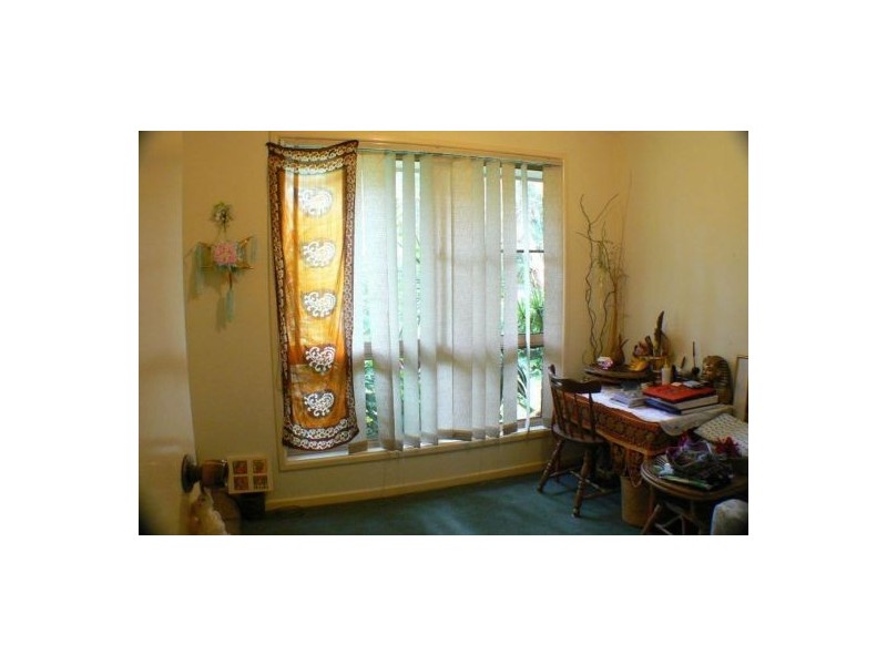 41 Pandanus Street, Mudjimba QLD 4564